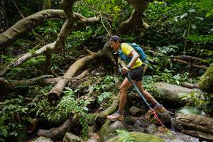 BIB: 
                            <button type="button" onclick="openModal(19407376)" class="btn btn-primary btn-sm float-right btn-popup" data-toggle="modal" data-target=".modal-high-quality">
                        <i class="fas fa-shopping-cart"></i> Add to Cart
                    </button>
                                            <button type="button" onclick="isThisMe(19407376, true)" class="btn btn-success btn-sm float-right btn-popup btn-isme hidden" data-toggle="tooltip" data-placement="bottom" title="นี่คือรูปของคุณใช่ไหม คลิกที่นี่เพื่อเอาเข้าอัลบั้ม">
                        <i class="fas fa-plus"></i> Add to album
                    </button>
                    <button type="button" onclick="isThisMe(19407376, false)" class="btn btn-warning btn-sm float-right btn-popup btn-isnotme hidden">
                        <i class="fas fa-ban"></i> Remove from album
                    </button>